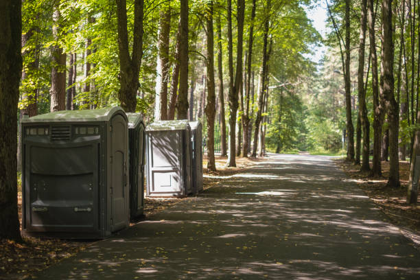 Best Affordable portable toilet rental  in Barrington, IL